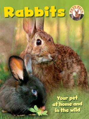 cover image of Pets Plus